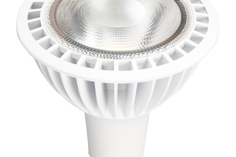 Topaz Lighting PAR38